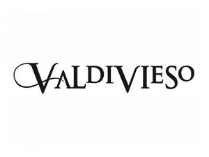Logo_Valdivieso